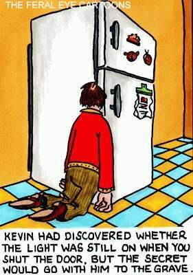 THE LIGHT IN THE FRIDGE CARTOON
