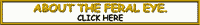 ABOUT TERRY SEDGWICK