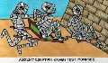 Ancient Egyptian crash test mummies.